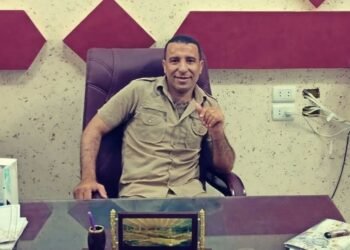 رمضان ربيع يكتب: 30 يونيو.. إرادة شعب صنعت مستقبل وطن