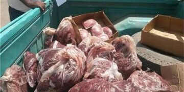 ضبط نصف طن من اللحوم والحمام الفاسد خلال حملات مكثفة لسلامة الغذاء في الغربية