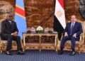 اتفاق مصري كونغولي على تعزيز التنسيق الأفريقي والدفاع عن مصالح القارة