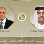 وزير الخارجية: أمن الخليج جزء لا يتجزأ من الأمن القومي المصري