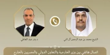 وزير الخارجية: أمن الخليج جزء لا يتجزأ من الأمن القومي المصري