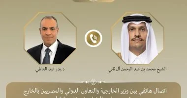 وزير الخارجية: أمن الخليج جزء لا يتجزأ من الأمن القومي المصري