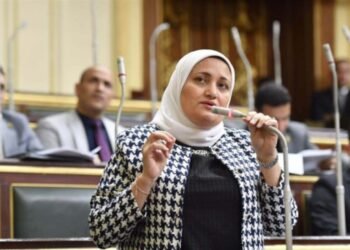 النائبة سناء السعيد