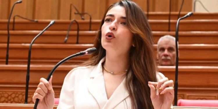 عضو مجلس النواب إيرين سعيد