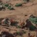 القوات المسلحة تنفذ حملة أمنية مكبرة على الاتجاه الجنوبي ضد الجريمة المنظمة