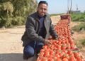الطماطم تهبط من 70 لـ15 جنيهاً.. والبيض بـ85 جنيهاً بعد تدخل الوزارة