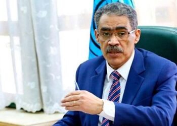 ضياء رشوان يدعو لاجتماع طارئ لوزراء الإعلام العرب