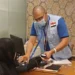 الصحة: تقديم 24 ألفا و976 خدمة طبية عبر عيادات بعثة الحج المصرية في الأراضي المقدسة