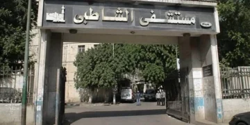 جامعة الإسكندرية تفتح تحقيقا عاجلا بشأن التجاوزات في مستشفى الشاطبي