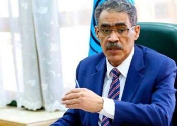 ضياء رشوان ينفي تعيين مستشارين بوزارة الدولة للإعلام