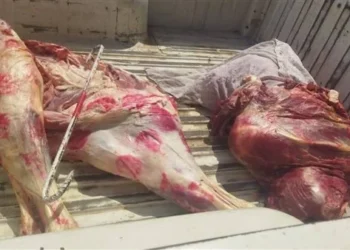 ضبط سيارة محملة بلحوم مجهولة المصدر بعد انقلابها أسفل محور دار السلام بسوهاج