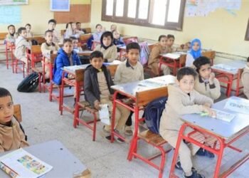 بعد اعتمادها.. إتاحة نتائج صفوف النقل في مدارس كفر الشيخ