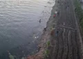 مصرع شاب وإصابة 3 آخرين إثر حادث انقلاب تروسيكل في ترعة بقنا