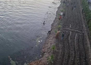 مصرع شاب وإصابة 3 آخرين إثر حادث انقلاب تروسيكل في ترعة بقنا