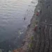 مصرع شاب وإصابة 3 آخرين إثر حادث انقلاب تروسيكل في ترعة بقنا
