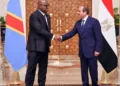 السيسي: مصر حريصة على تحقيق المنفعة المشتركة لجميع شعوب حوض النيل