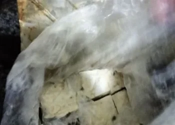 صحة القليوبية تضبط 1.5 طن جبن فاسد داخل مول شهير بمدينة العبور