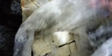 صحة القليوبية تضبط 1.5 طن جبن فاسد داخل مول شهير بمدينة العبور