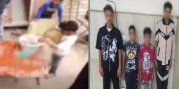 ضبط 3 صغار وطالب لإغراقهم كلبًا في دلو مياه وتصويره لزيادة المشاهدات بأسيوط