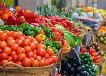 أسعار الخضراوات والفاكهة اليوم الخميس 11 يونيو 2026 في سوق العبور للجملة