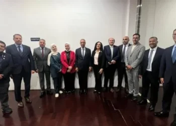 وزير الخارجية لأعضاء الجالية المصرية بكوريا الجنوبية: المصريون بالخارج ركيزة أساسية للقوة الناعمة المصرية