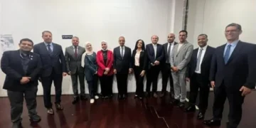 وزير الخارجية لأعضاء الجالية المصرية بكوريا الجنوبية: المصريون بالخارج ركيزة أساسية للقوة الناعمة المصرية