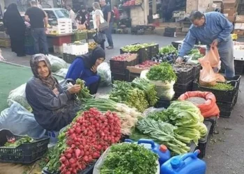 أسعار الخضروات والفاكهة اليوم الأربعاء 17 يونيو 2026