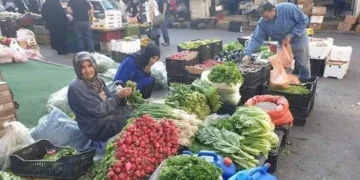 أسعار الخضروات والفاكهة اليوم الأربعاء 17 يونيو 2026