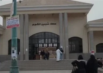 مصرع صغير دهسًا أسفل عجلات قطار في المنوفية