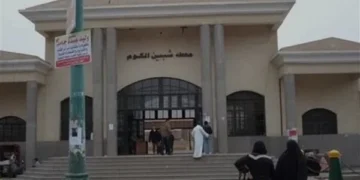 مصرع صغير دهسًا أسفل عجلات قطار في المنوفية