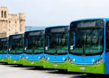 هيئة النقل العام بالإسكندرية تعلن عن تشغيل خط أتوبيسات جديد.. تعرف عليه