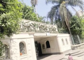 بيطرى المنوفية يسلم تمساح صغير عثر عليه بترعة النعناعية إلى حديقة الأسماك