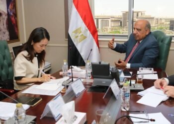 مصر واليابان تبحثان سبل دعم التعاون في مجالات الطاقة المتجددة