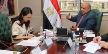 مصر واليابان تبحثان سبل دعم التعاون في مجالات الطاقة المتجددة