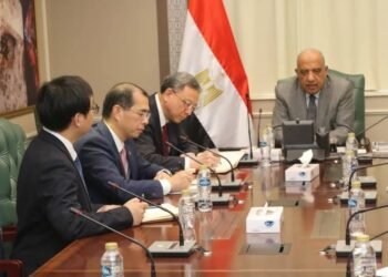 وزير الكهرباء: نتعاون مع الصين لتطوير الشبكة القومية وزيادة قدرتها على استيعاب الطاقات المتجددة