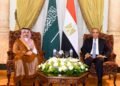 وزير الخارجية: مشاورات مكثفة مع السعودية بشأن مستجدات البحر الأحمر والقرن الأفريقي