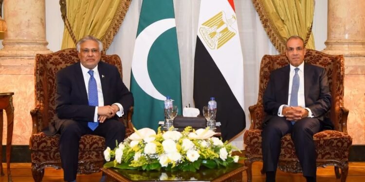 وزير الخارجية: تعزيز العلاقات مع باكستان يمثل أولوية في المرحلة المقبلة