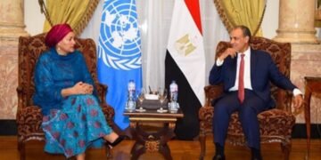وزير الخارجية: الانتهاكات الإسرائيلية في غزة والضفة تستوجب احترام القانون الدولي
