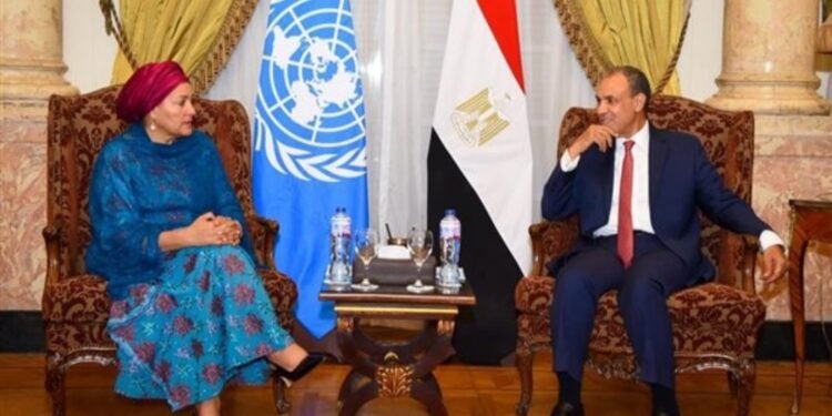 وزير الخارجية: الانتهاكات الإسرائيلية في غزة والضفة تستوجب احترام القانون الدولي