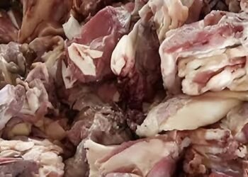 حقيقة ضبط لحوم كلاب مجهزة للاستهلاك الأدمى فى الجيزة