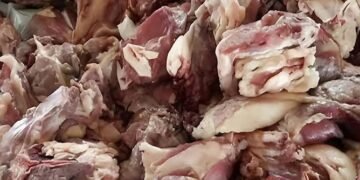 حقيقة ضبط لحوم كلاب مجهزة للاستهلاك الأدمى فى الجيزة