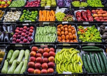 الخوخ والمشمش والمانجو في الصدارة.. أحدث أسعار الفاكهة بسوق العبور اليوم
