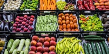 الخوخ والمشمش والمانجو في الصدارة.. أحدث أسعار الفاكهة بسوق العبور اليوم