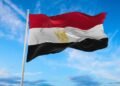 مصر تواصل دعمها لأفريقيا.. مساعدات غذائية إلى مالاوي لمواجهة تحديات الأمن الغذائي