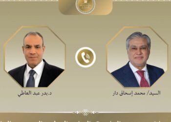 وزيرا خارجية مصر وباكستان يبحثان تطورات مذكرة التفاهم بين واشنطن وطهران