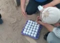 حملة لمكافحة الثعابين بالرمالي في المنوفية لحماية المواطنين