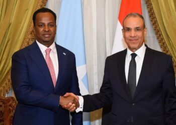 وزير الخارجية: نرفض أي إجراءات تمس سيادة ووحدة الأراضي الصومالية