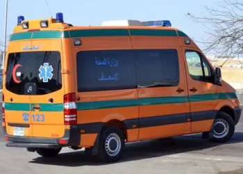 مصرع شقيقين غرقًا عقب سقوط سيارة بإحدى الترع غرب الإسكندرية