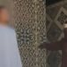 جلد 6 أشخاص علنًا في إندونيسيا بسبب قبلة