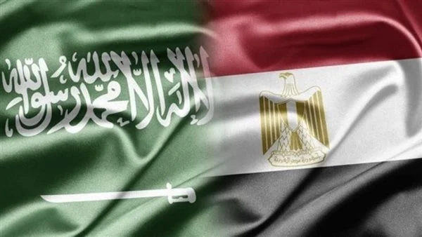 مصر تدين هجمات المسيرات على السعودية وتؤكد تضامنها الكامل مع المملكة